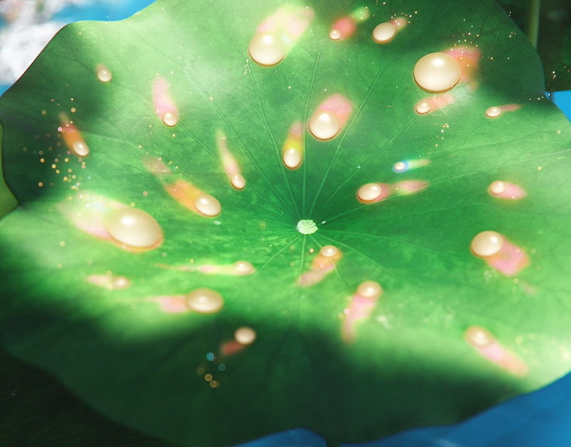 В России стали откладывать строительство дорог  виноват опять Центробанк